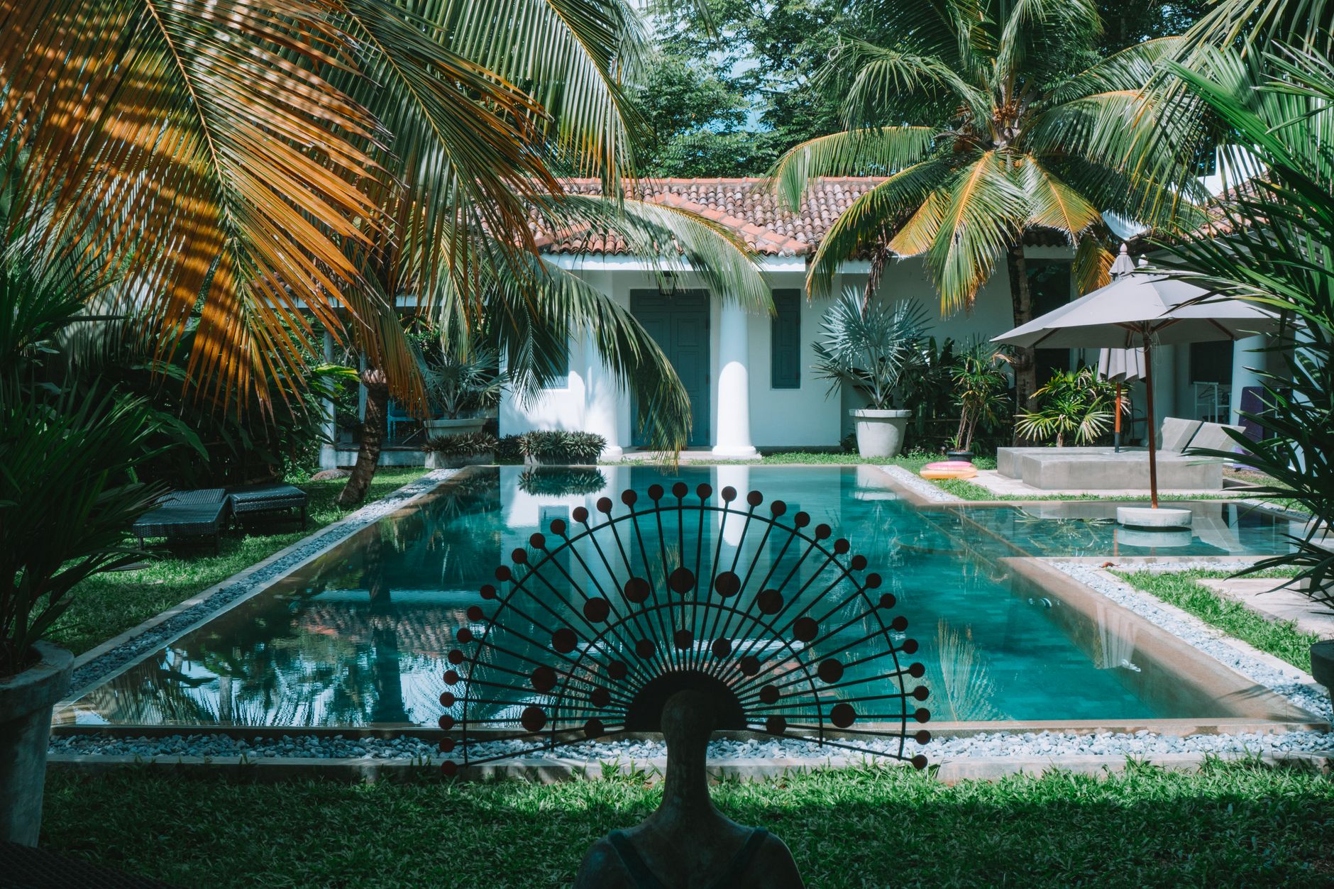 A backyard swimming pool surrounded by palm trees.