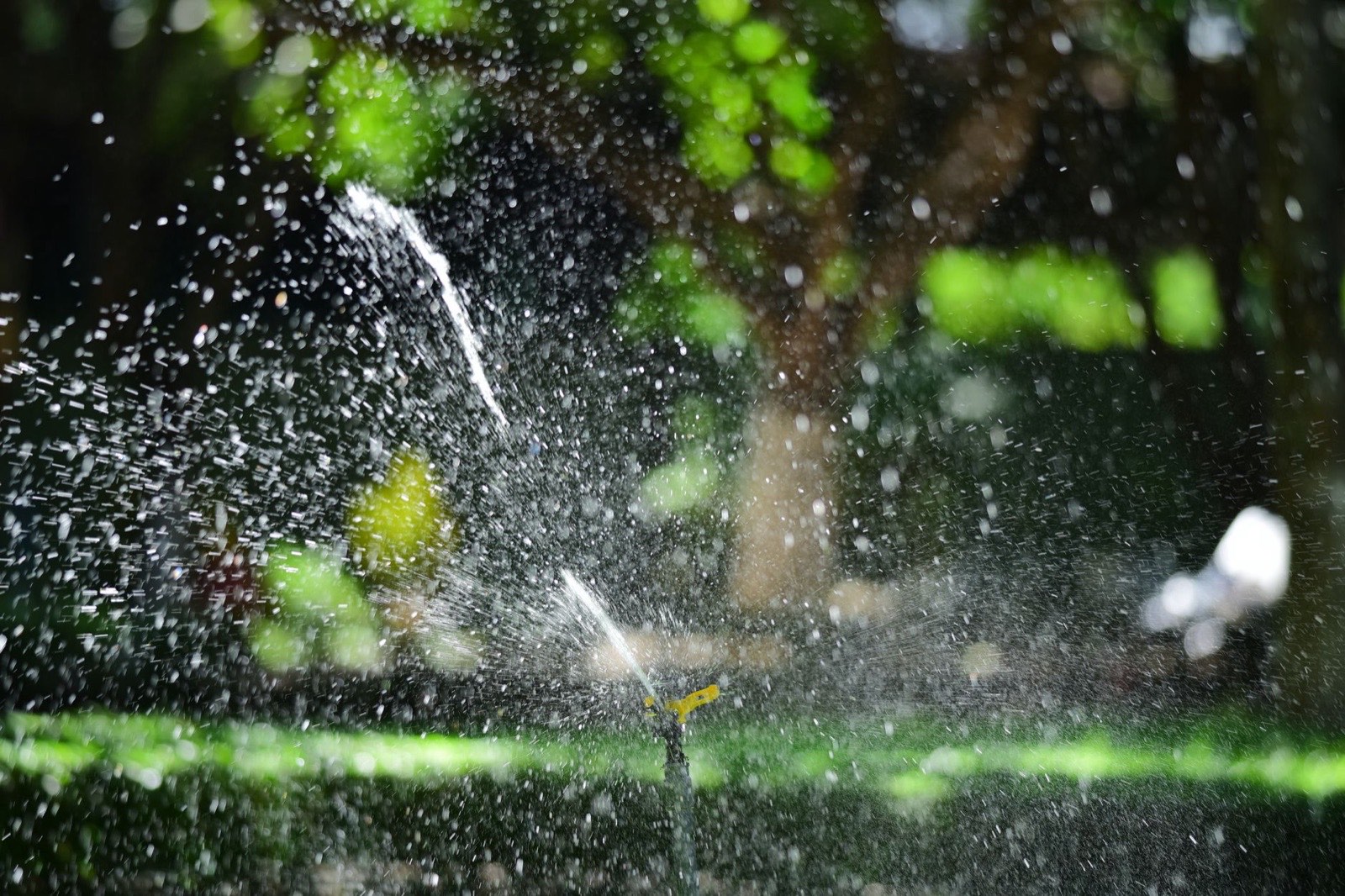 A pop-up sprinkler head spraying water across a green lawn